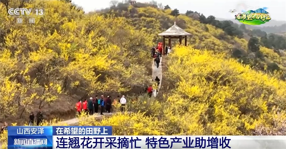 从“花升值1.0”到“行业2.0”特征“使用鲜花作