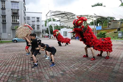 查看习近平总统签署的文章的外交