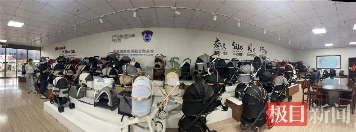 熊猫体育资讯：极目锐评300余家境外媒体热炒汉川童车：睁眼看中国满目是惊喜(图3)