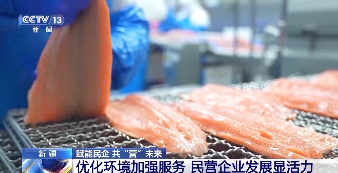 绿电“捕风者”领跑全球“海鲜”养殖火出圈新疆解锁“聚宝盆”新密码(图8)