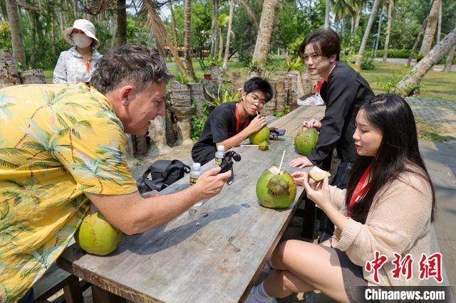 海外中国见面海南自由贸易港口：外国互联网名