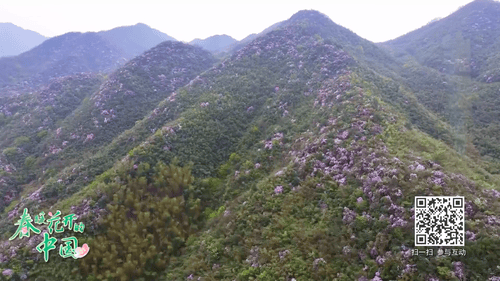 中国有春天的鲜花|欣赏南亚尔利春天的壮丽景色
