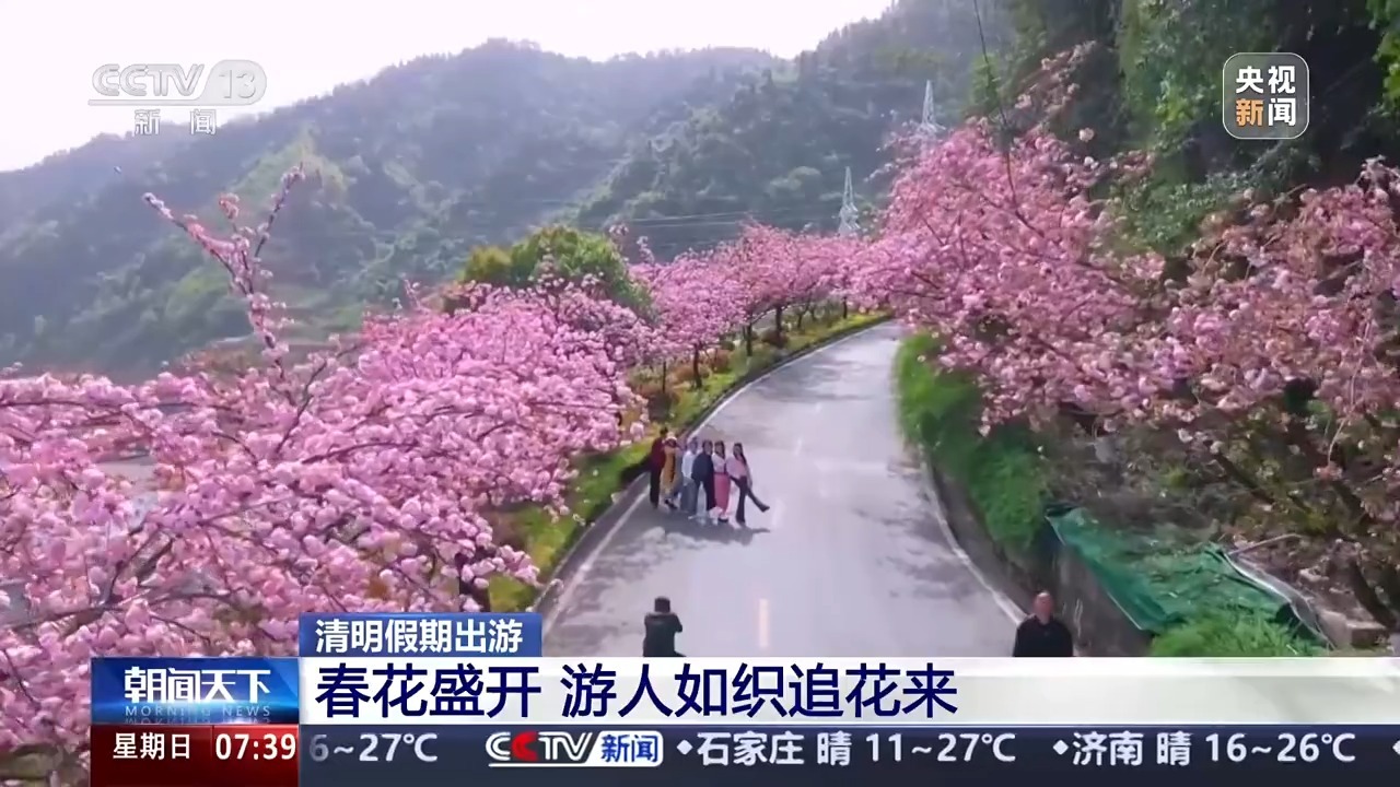 春天的花朵盛开，游客追逐花朵