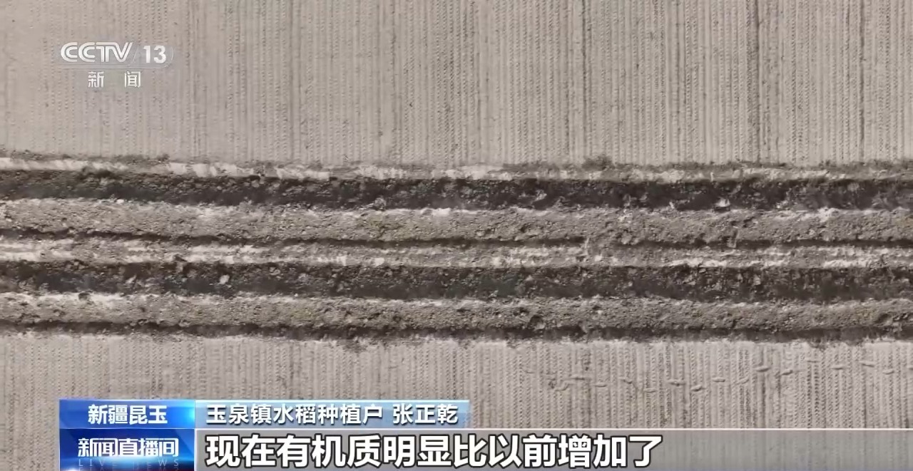 M6米乐官网沙漠里也能种水稻？揭秘沙漠旱地播种技术(图3)