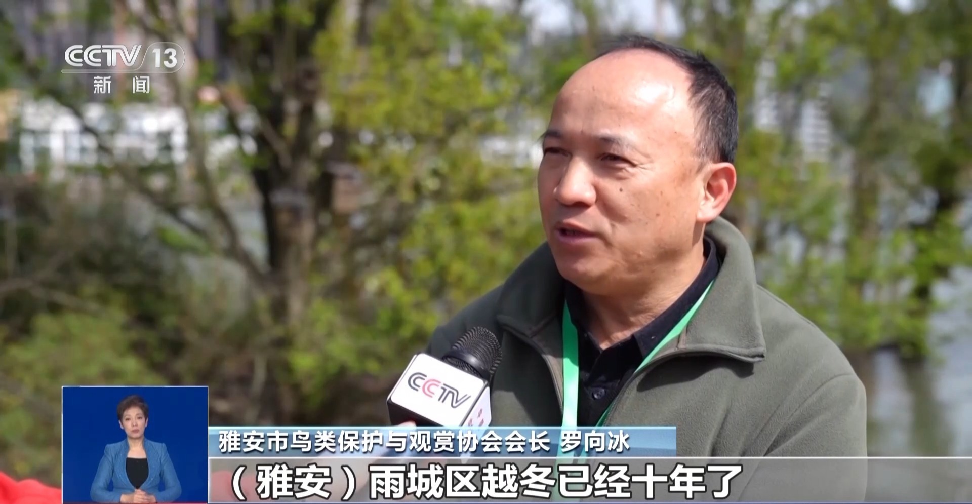 互联网听说“光污染导致了雅