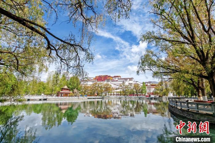 藏族旅游市场在春季变暖