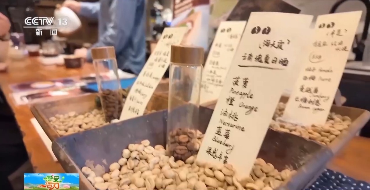 开云下载“啡”比寻常 上海人早晨的那杯咖啡是刚需(图7)