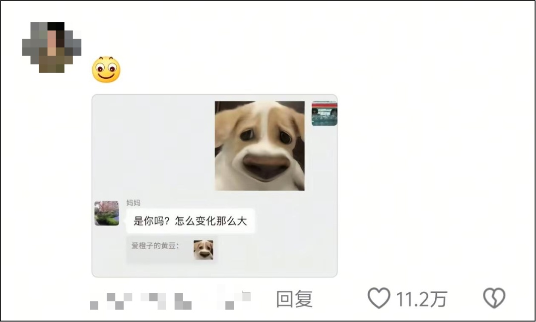 不要随便给爸妈发表情包！他们是真的会“确实”