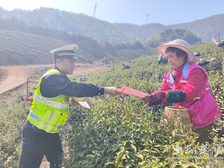 黄史紧紧闪烁，稳定以保护春季耕作的“和平网”