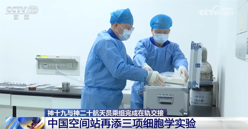 中国空间站的“新”中的三个细胞学实验预计将