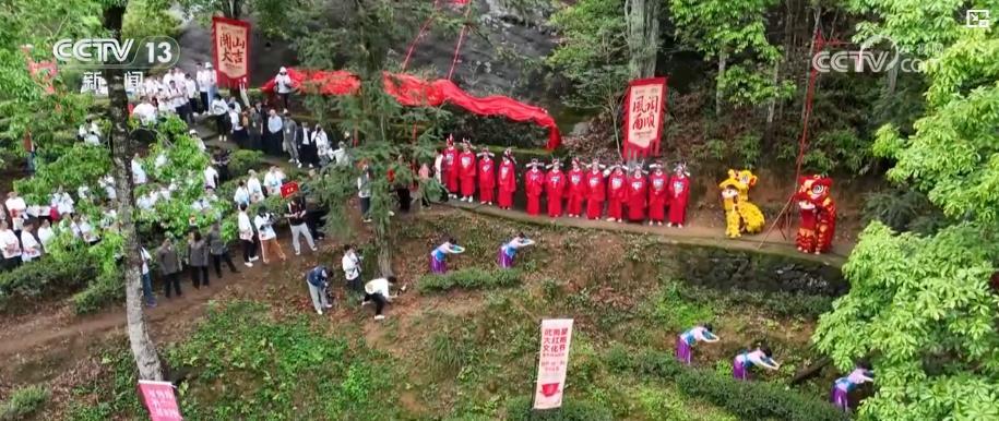 火星电竞app谷雨时节春茶香传统茶艺与茶旅文化融合促消费 助力乡村振兴(图1)