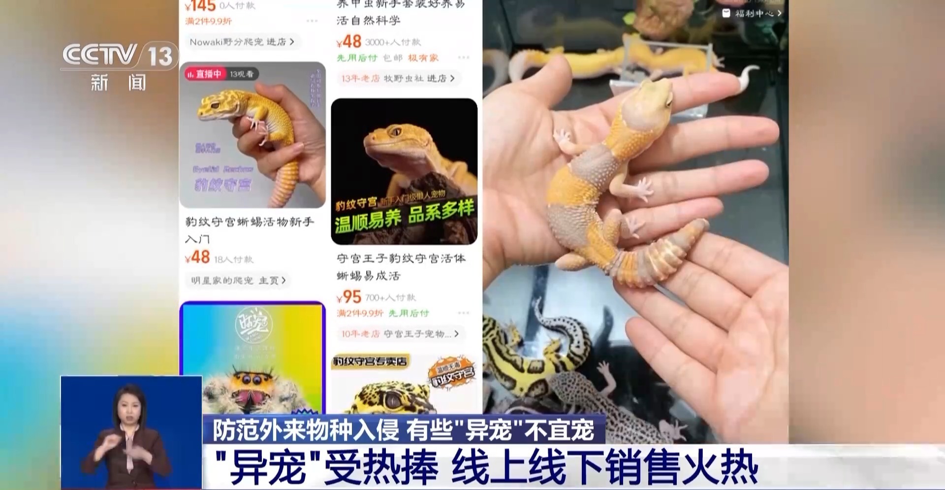 有些“异宠”不宜宠 专家：购买饲养前要做到“三查”(图1)