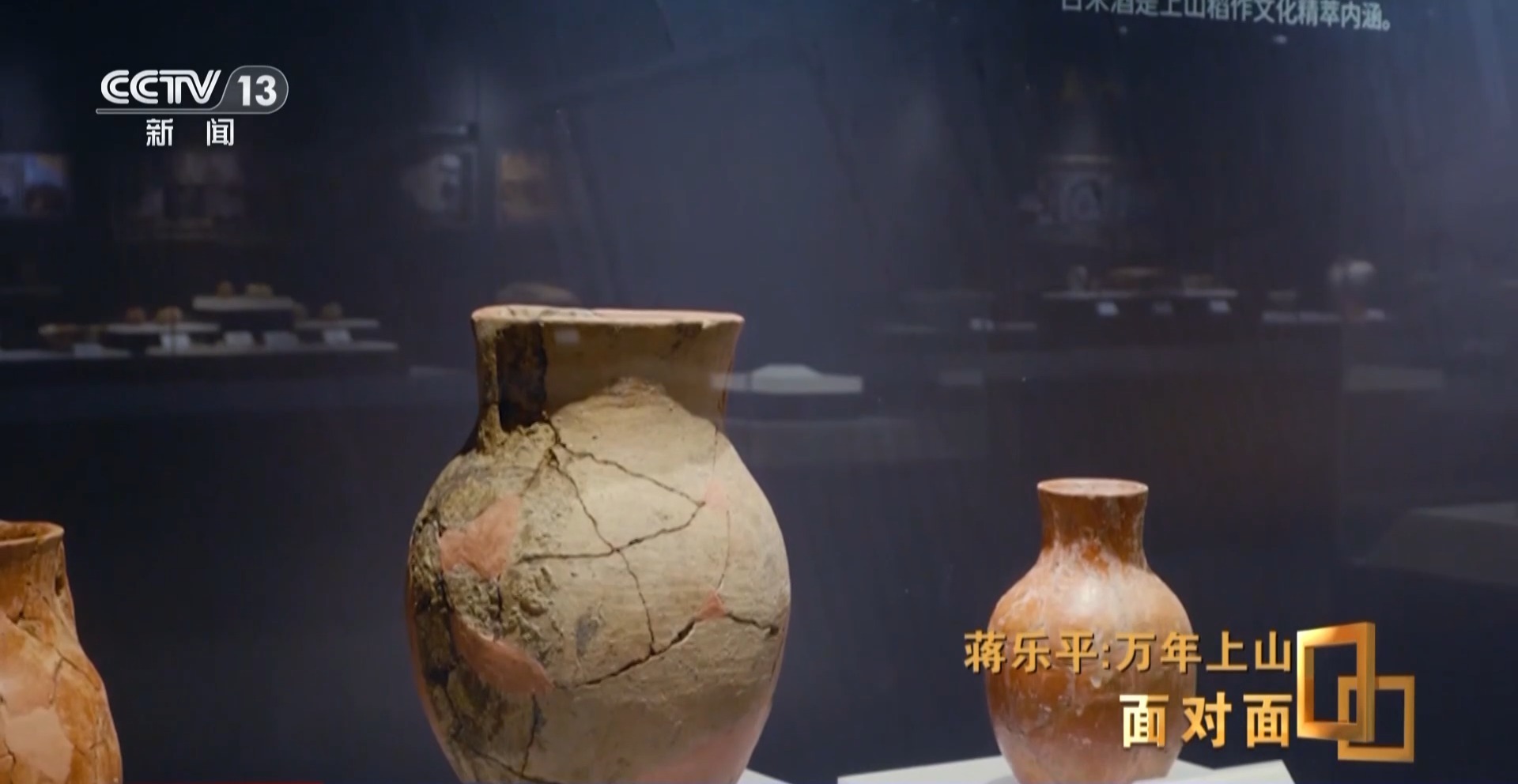 8188www威尼斯平台面对面丨对话蒋乐平 从一粒稻米触摸一万年前历史(图6)