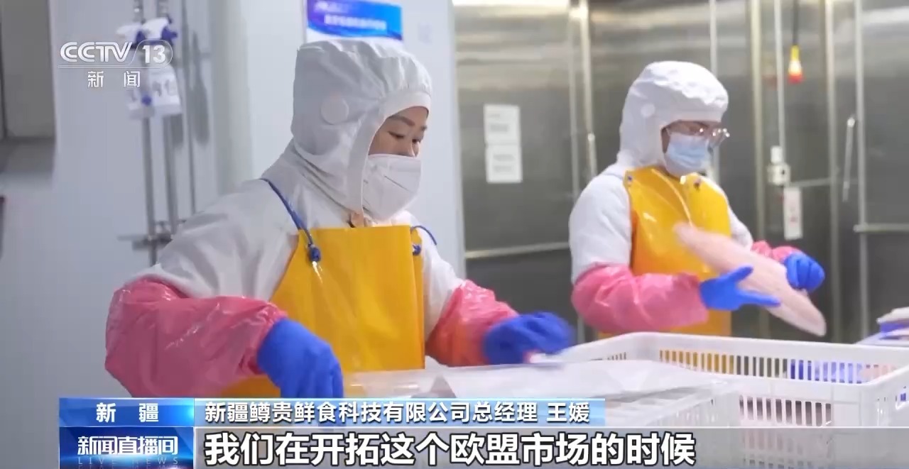 绿电“捕风者”领跑全球“海鲜”养殖火出圈新疆解锁“聚宝盆”新密码(图7)