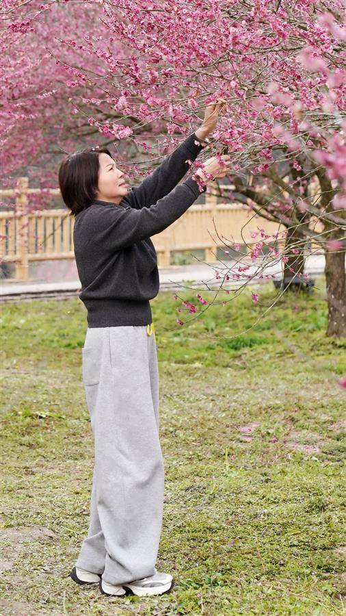 寻找小镇创业家㉚丨土家女儿十年建起武陵山区最大梅园(图2)