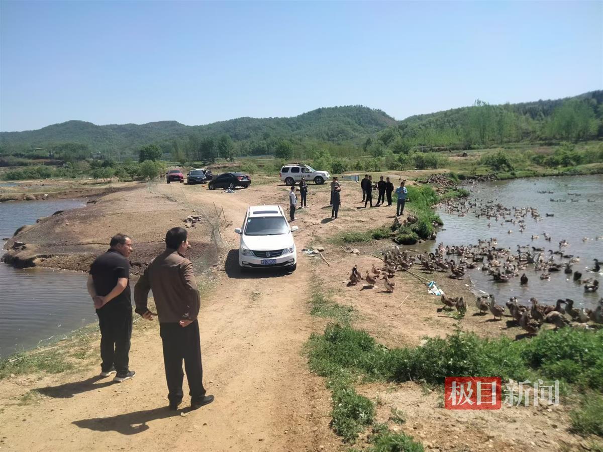谁应该照顾两个省的河流中鸭子的非法饲养？湖