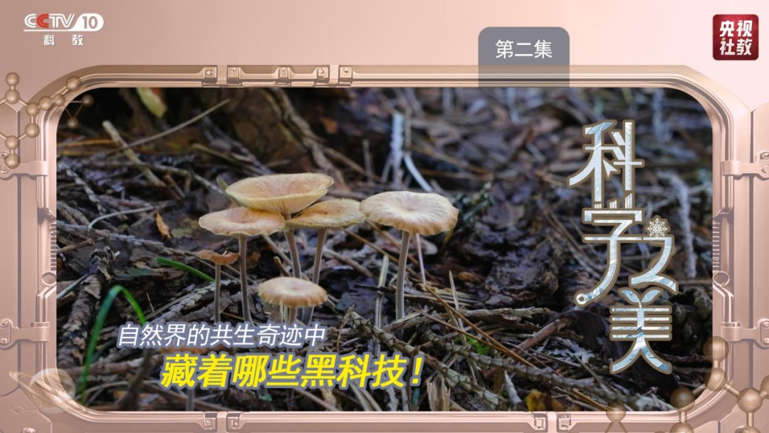 这部科学大片每一帧都是壁纸！(图7)