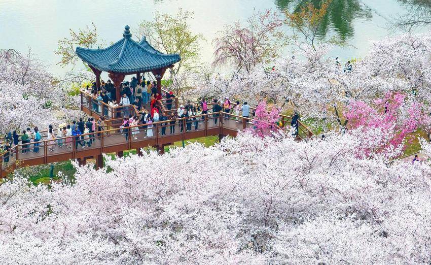 东湖快语丨跳出“景点思想” 让湖北的“诗与远方”走得更远