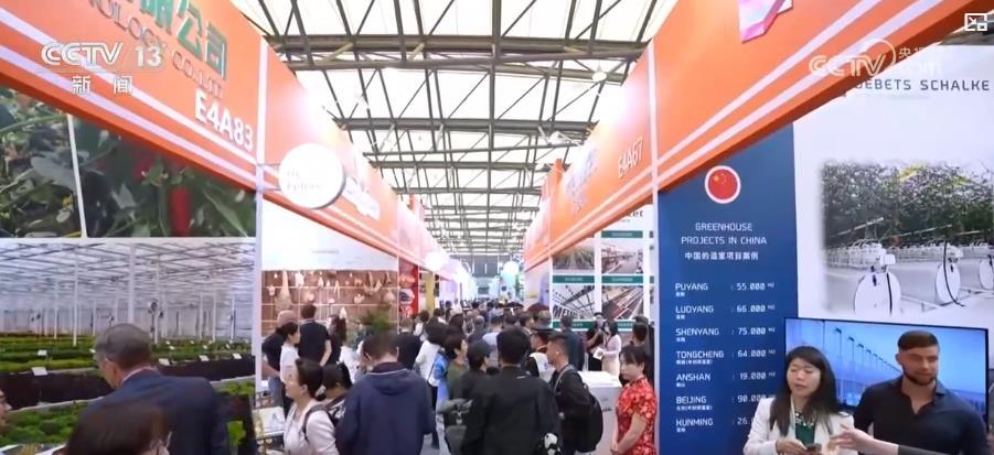 “鲜花经济”一路生花！我国花卉海外交易持续增长 工业竞争力明显增强