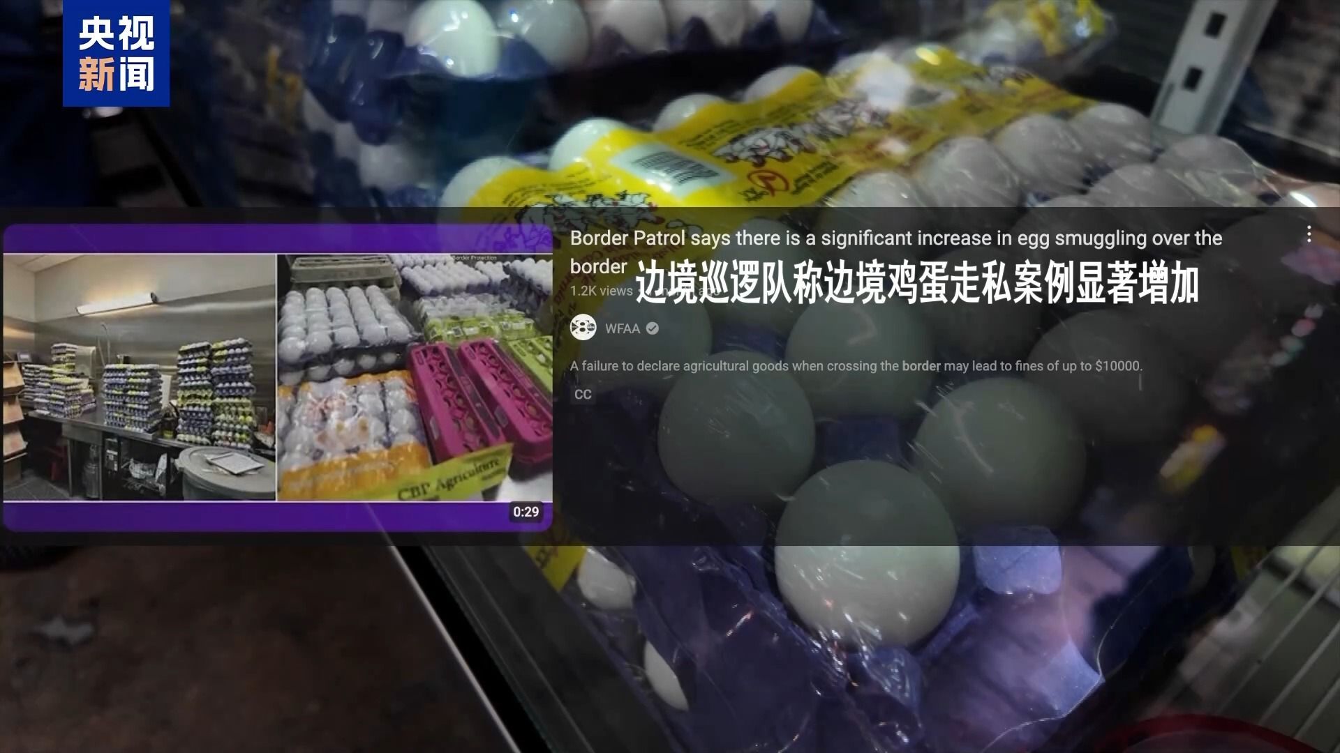 参观台湾台湾的记者|美国 - 墨西哥边境上