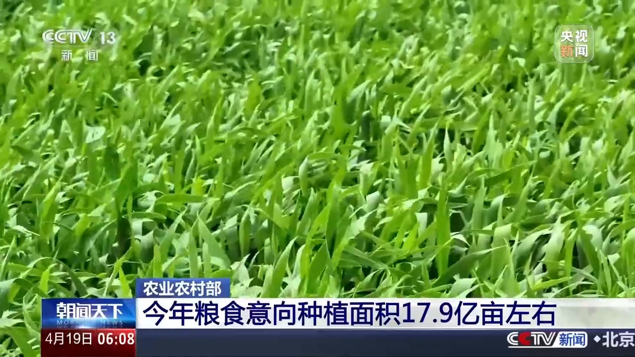 春季播种进度栏在哪里？谷物市场的趋势是什么