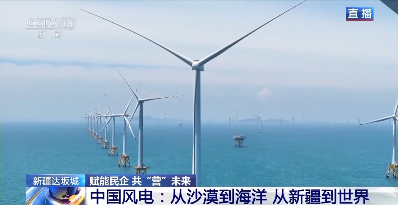 绿电“捕风者”领跑全球“海鲜”养殖火出圈新疆解锁“聚宝盆”新密码(图5)