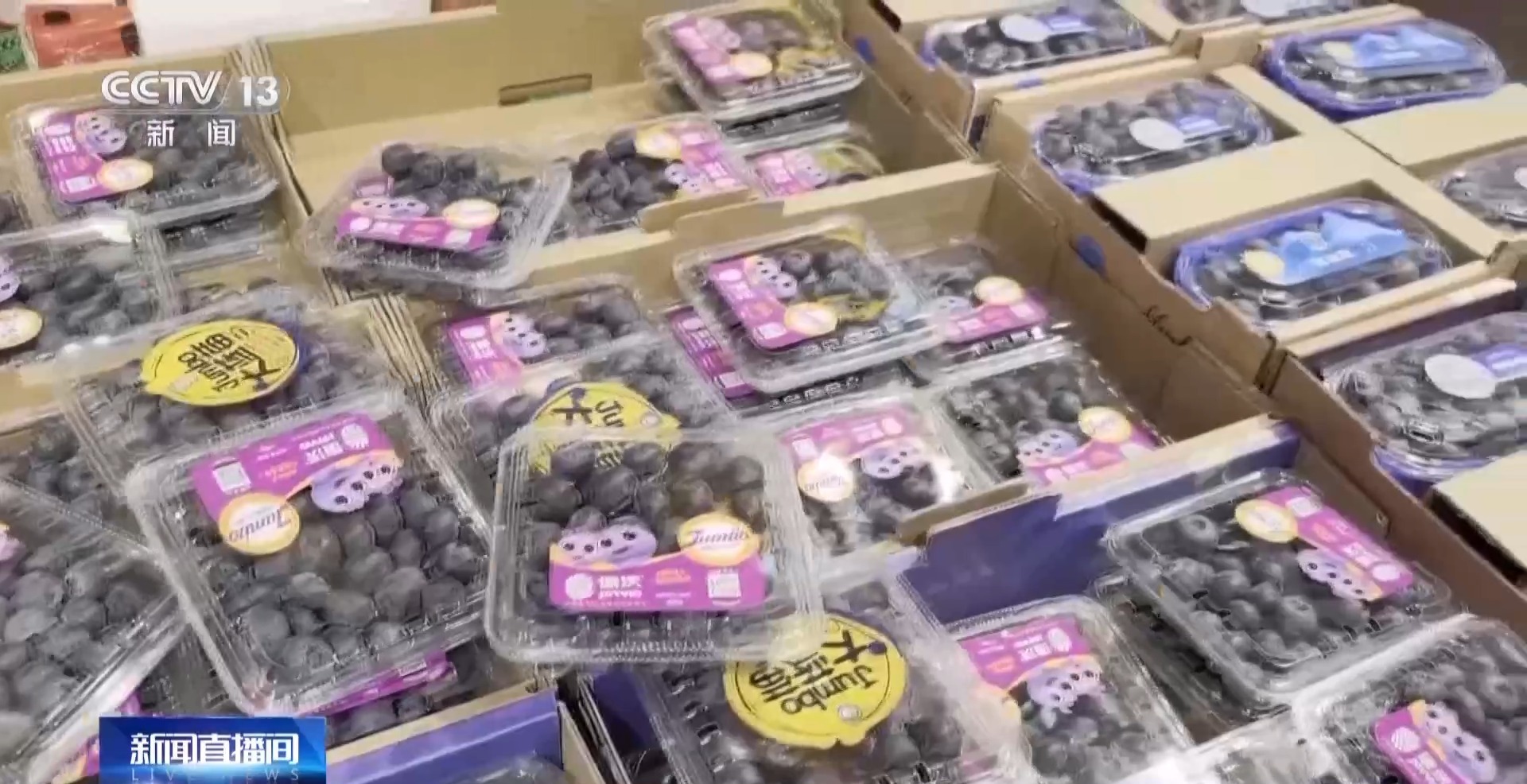 开云体育下载昔日“水果刺客”变身“亲民爆品” 用科技把水果价格打下来(图1)
