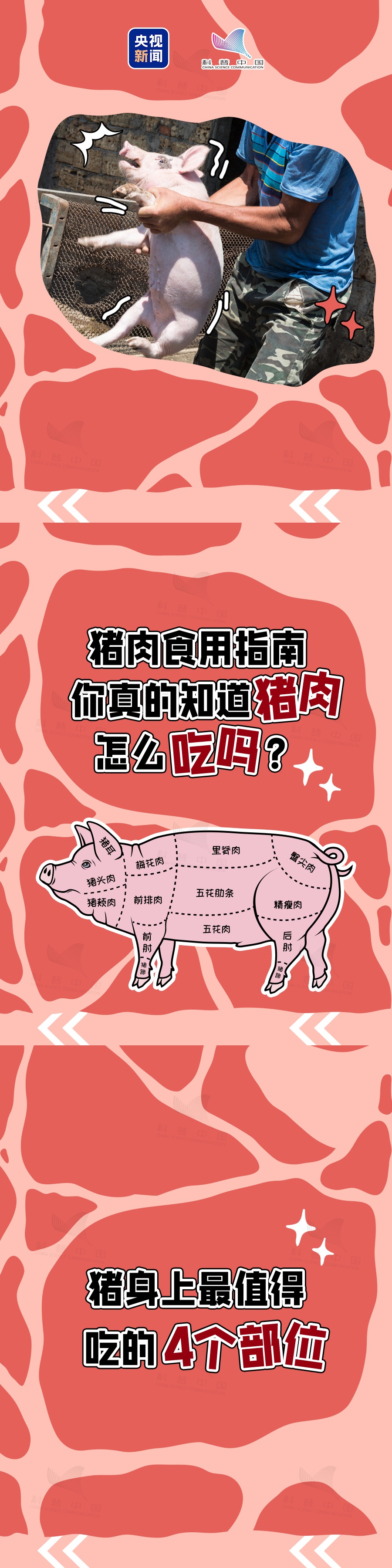 不要从这些部分的猪里吃肉！