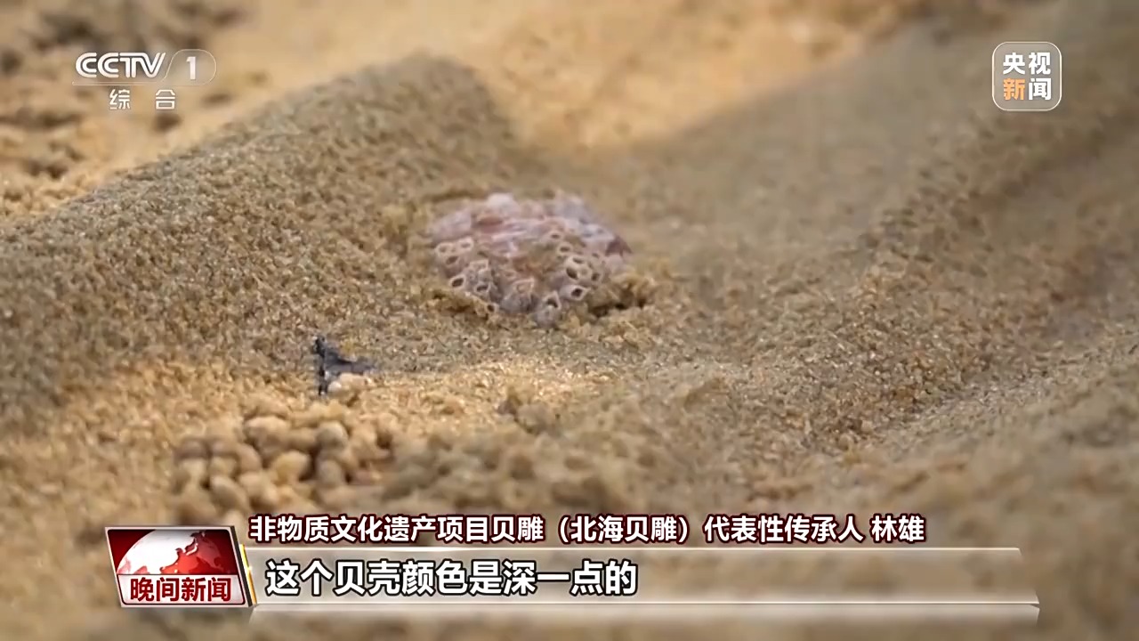 千年经典向新行丨小贝壳雕PG电子官网出千年非遗 这是方寸间的海洋史诗(图5)