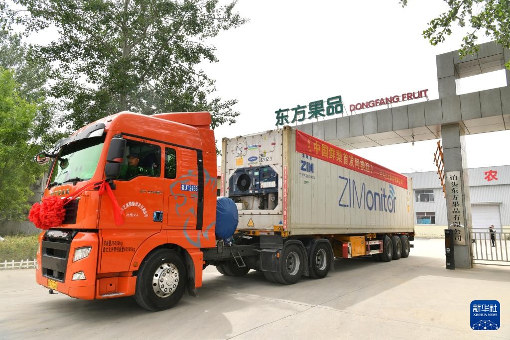 hebei新鲜的梨出口到阿根廷