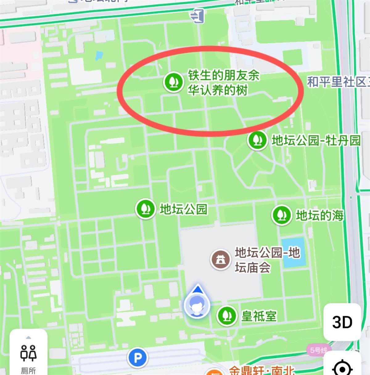 网红打卡点“铁生余华友谊树”认养到期续费了吗？地坛公园回应