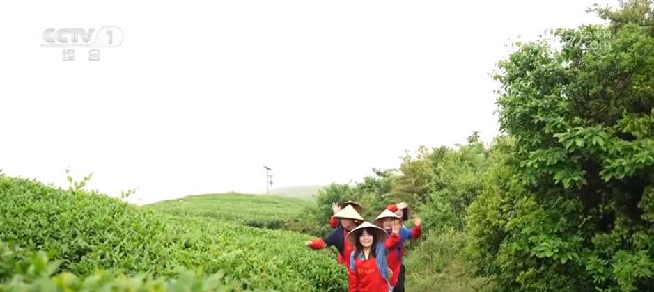 “五一”假期“农文商旅体”融合释放多彩活力 “新玩法”拉动假日消费热潮(图9)