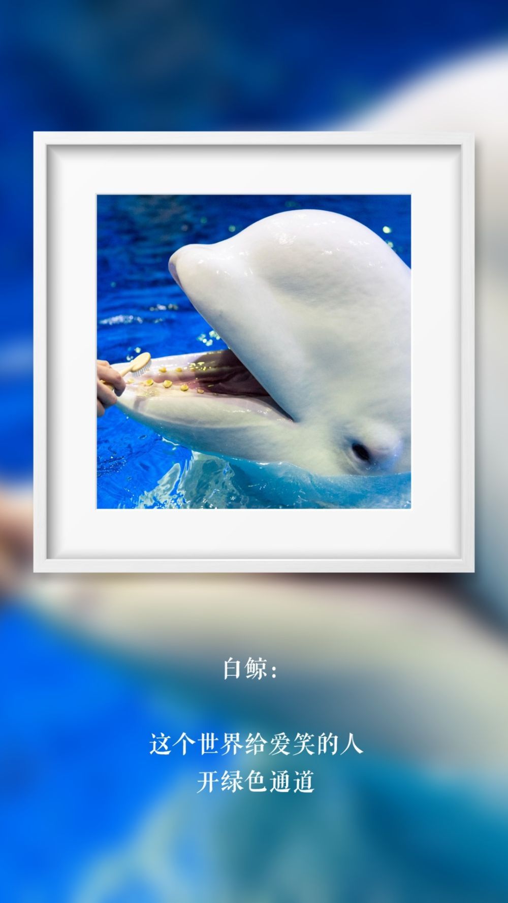 世界微笑日 那些“天生爱笑”的萌物们(图2)