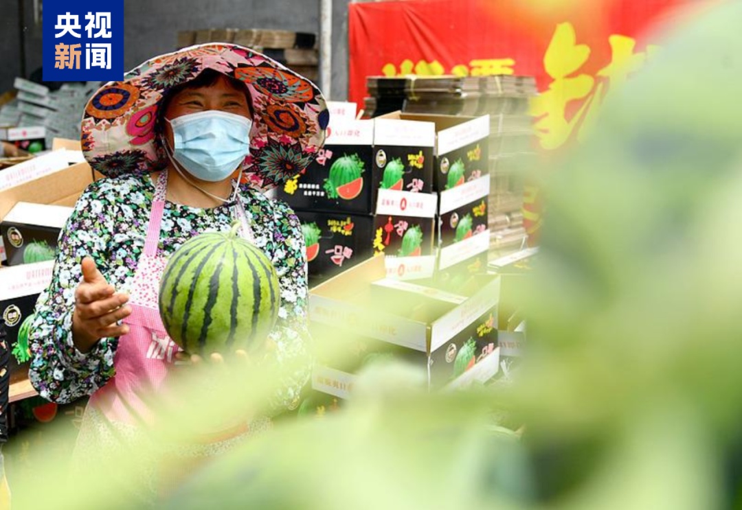 您可以每月通过西瓜赚取超过10,000元吗？这种人