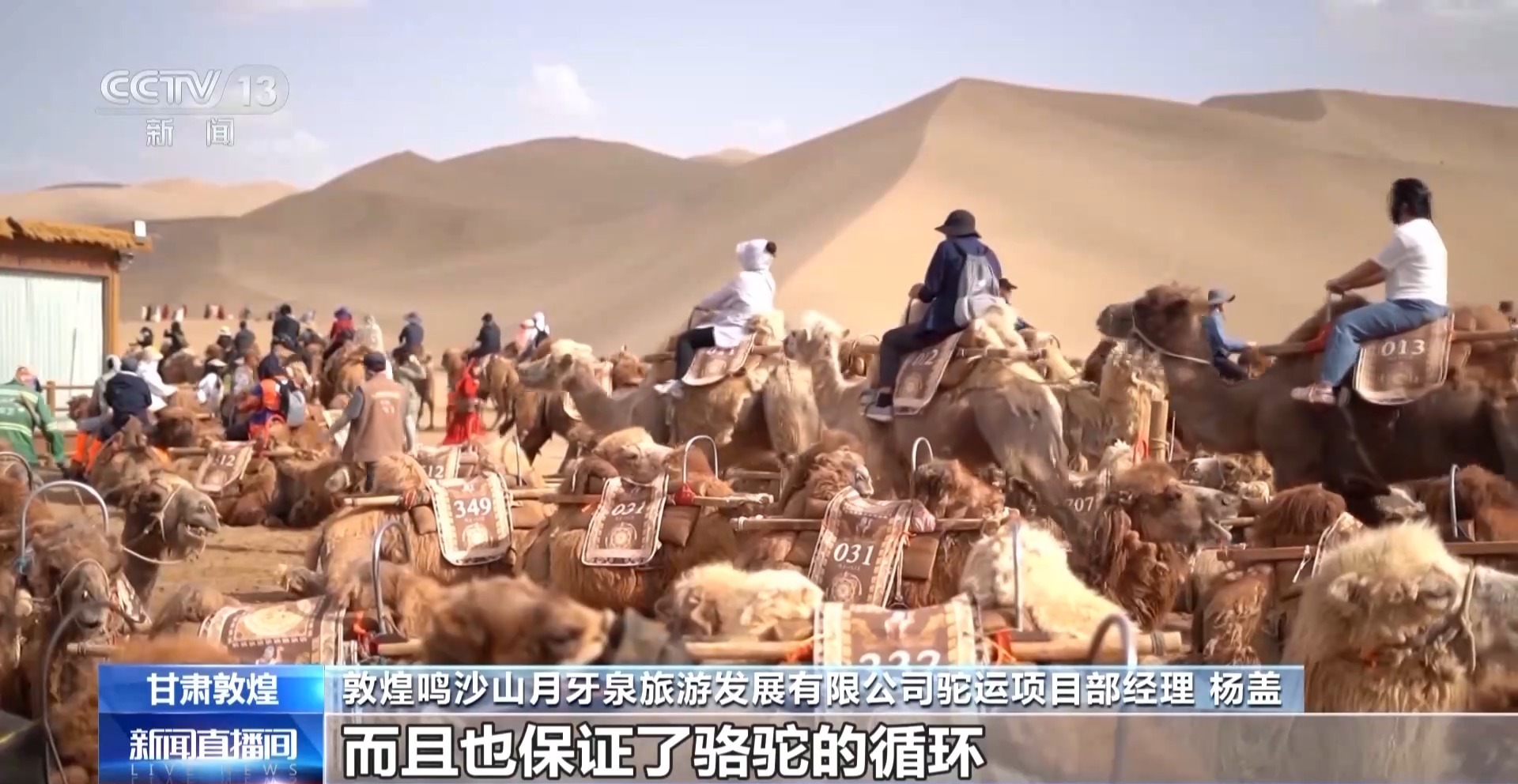 独家票号：玩和等待在明沙山骑骆驼时不必排队