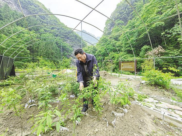 搬出“舒适区”，并将人口恢复到自然住宿630濒