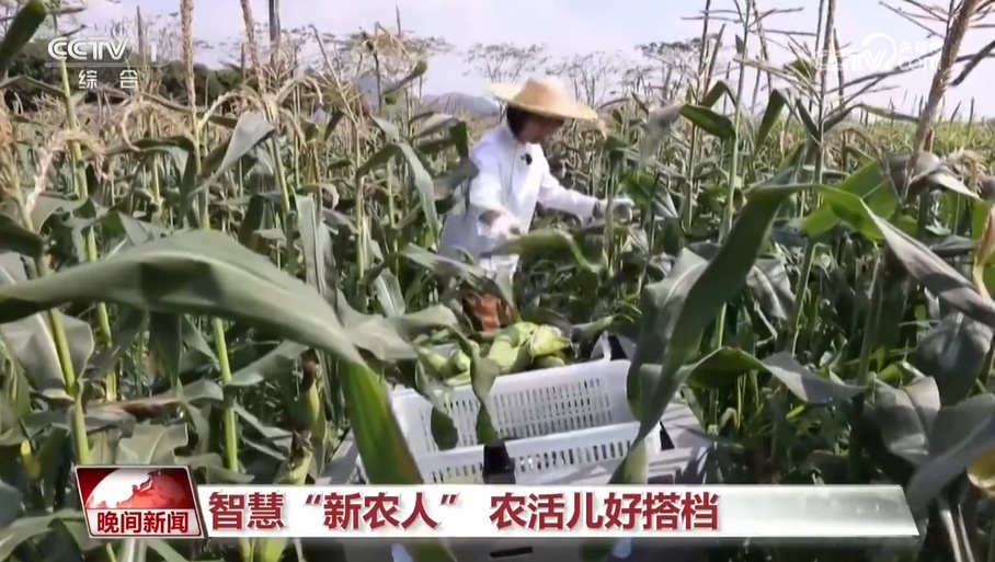 智能汽车,外骨骼设备,技术采摘机器人技术有