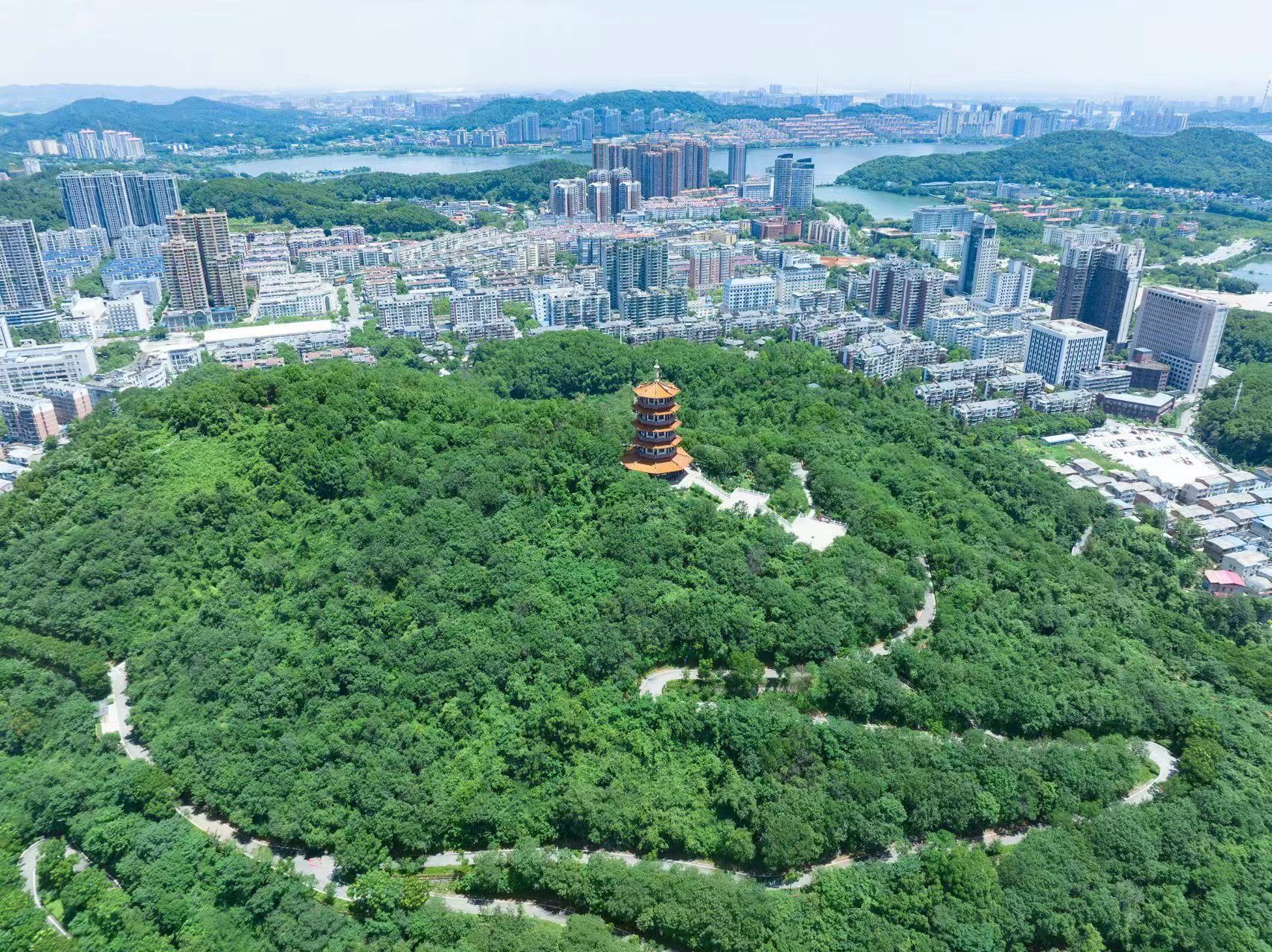 劲牌捐建的柯尔山白马山公园.jpg.jpg