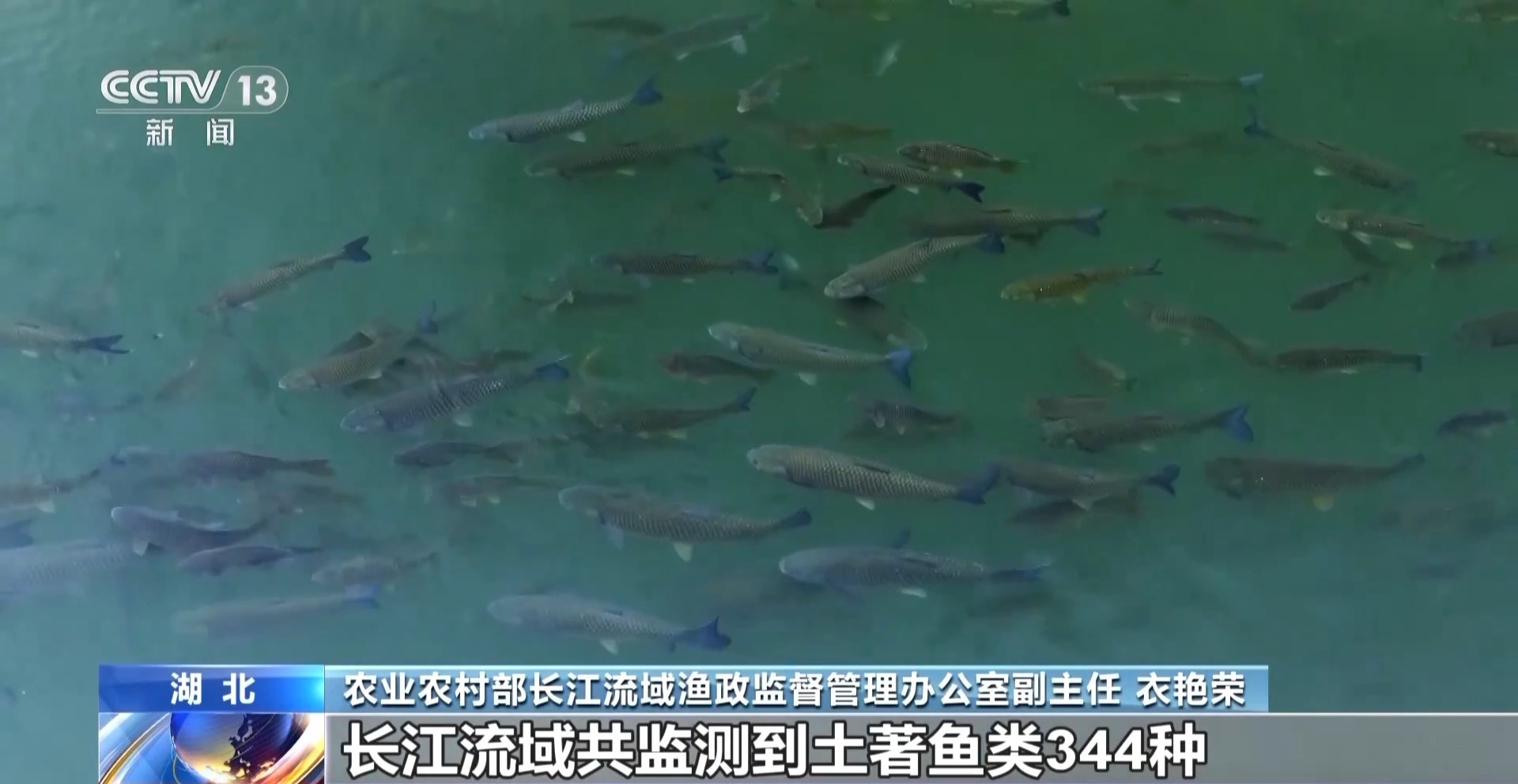 农业和农村事务部：扬泰河捕鱼的禁令取得了分