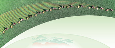使用灯光和阴影记录农村地区全面振兴的新图片卷轴（新的照片卷轴期）