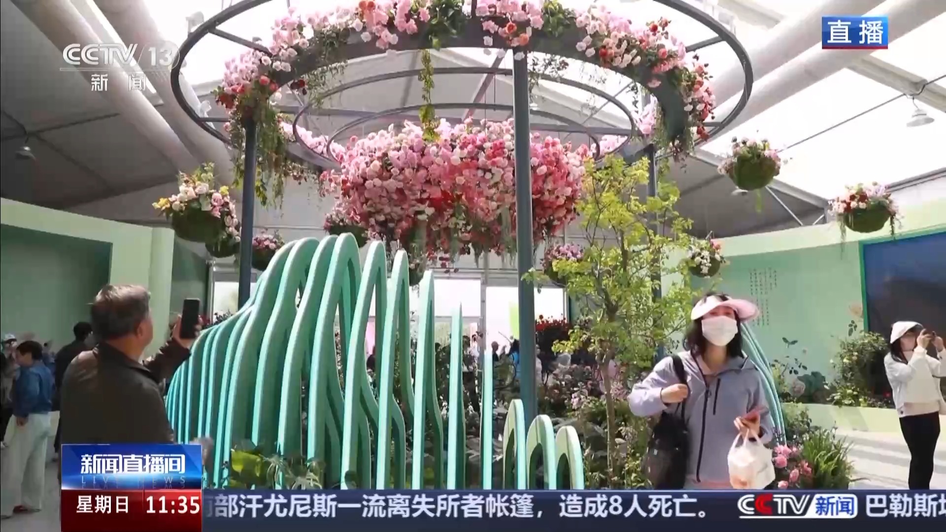 全球千余月季品种集体亮欧博体育登录相 跟随镜头开启“繁花之旅”(图2)