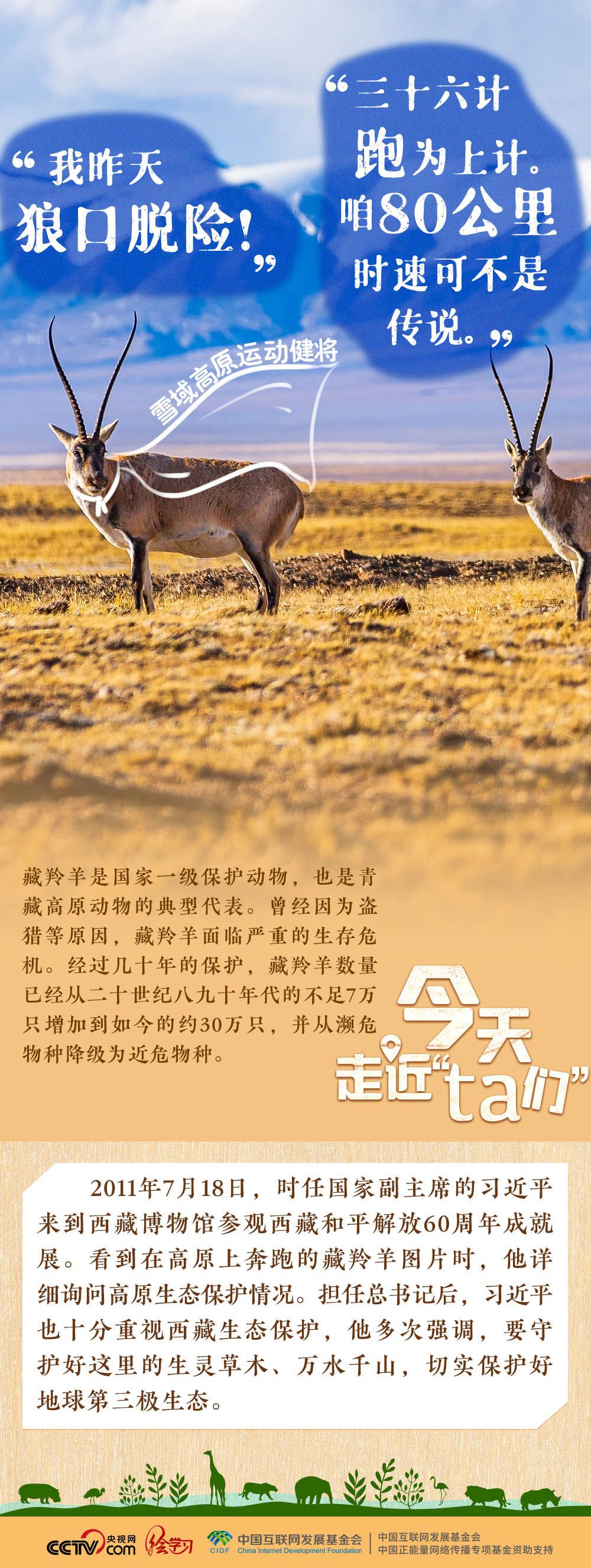 -Day |رעxi jinpingġ ta
