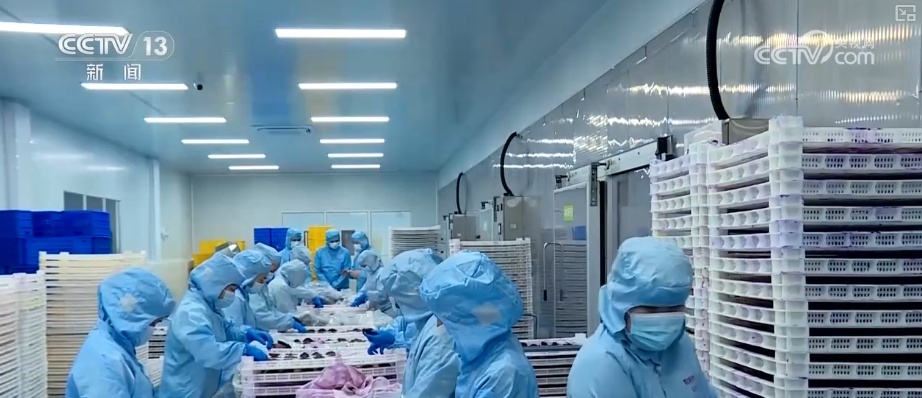 “真钱”的救济，“政策 +市场”预防和控制..