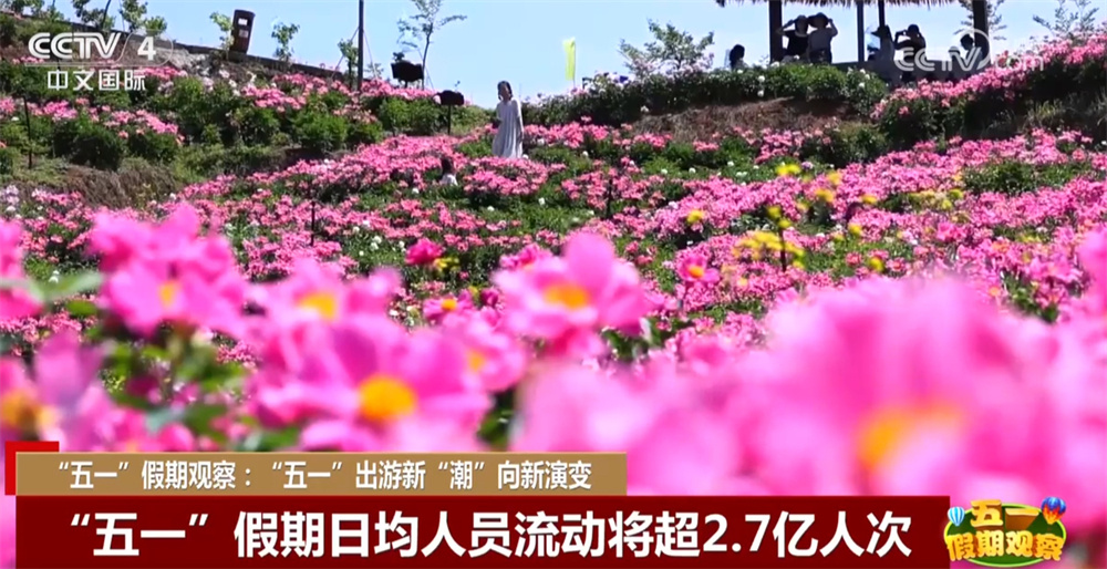 “五劳动节”假期正在