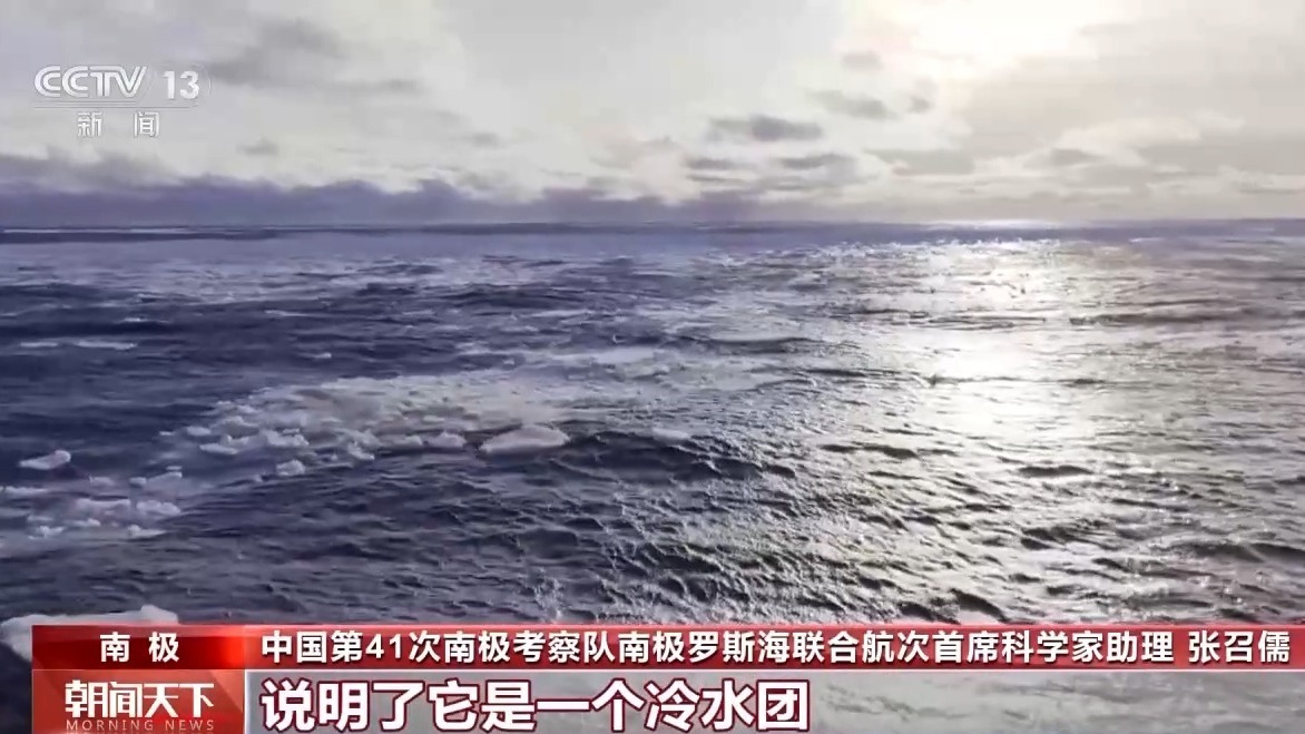 在海水中隐藏的南极生态奥秘是什么？科学家将
