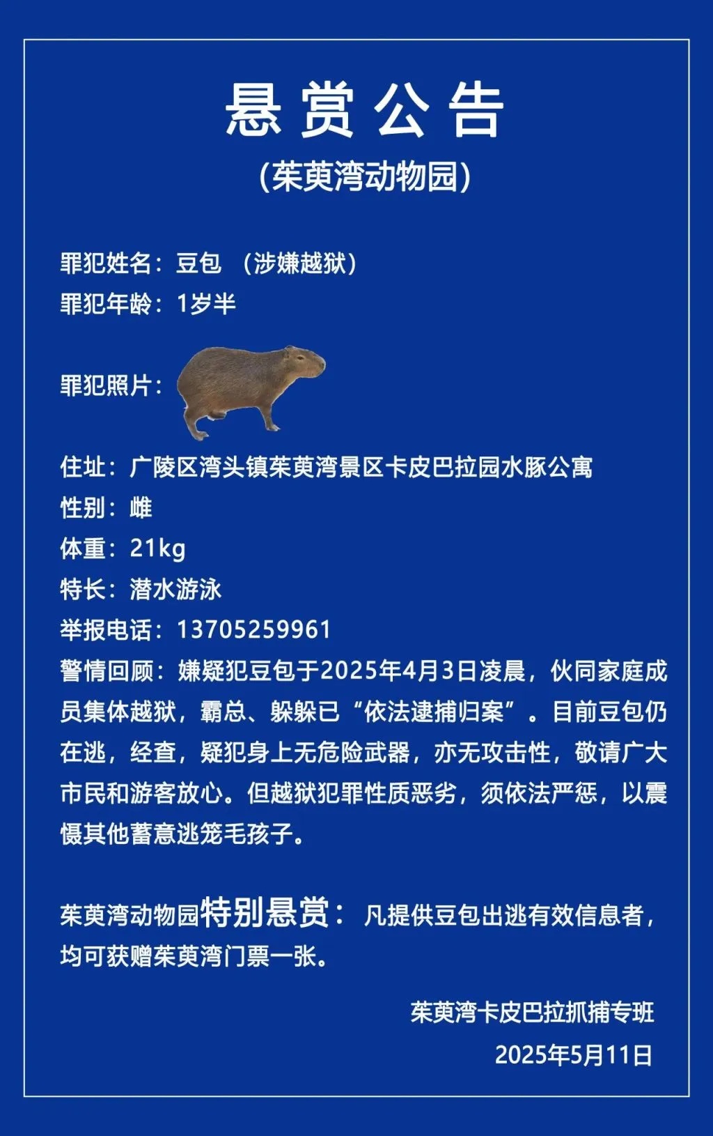 奖励奖励！卡皮巴拉（Kapibala）的“越狱”位置