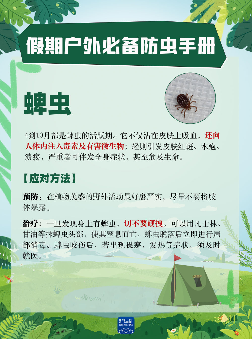 唠“科”话｜假日野外玩耍，这份攻略教你防“微型刺客”