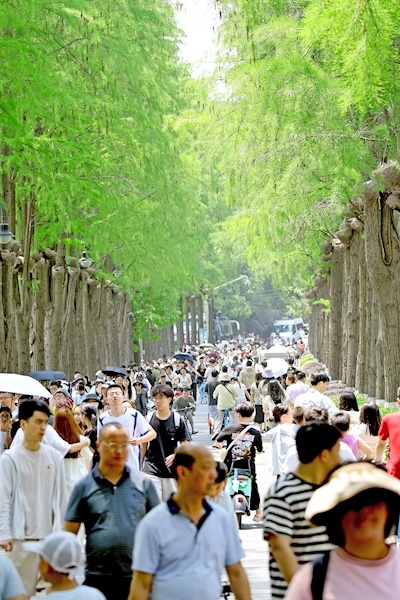 五一东湖客流指数居全国第二