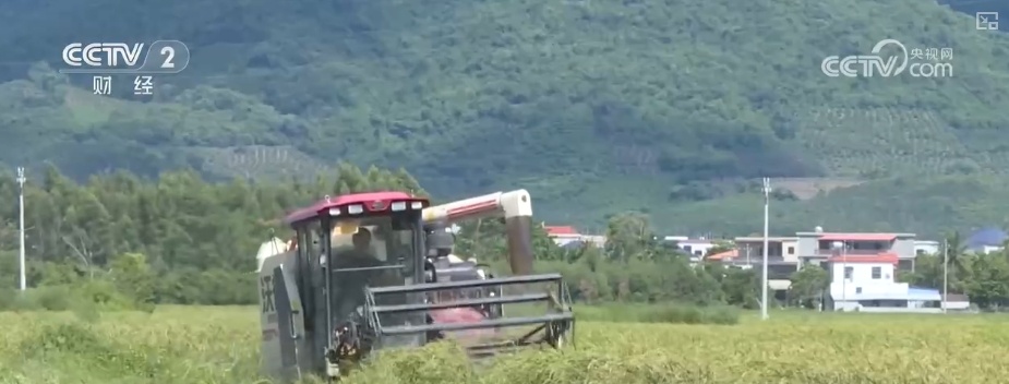 “才智气候”赋能“三夏”出产 “机械化收割+科技制育种”共绘夏收新画卷