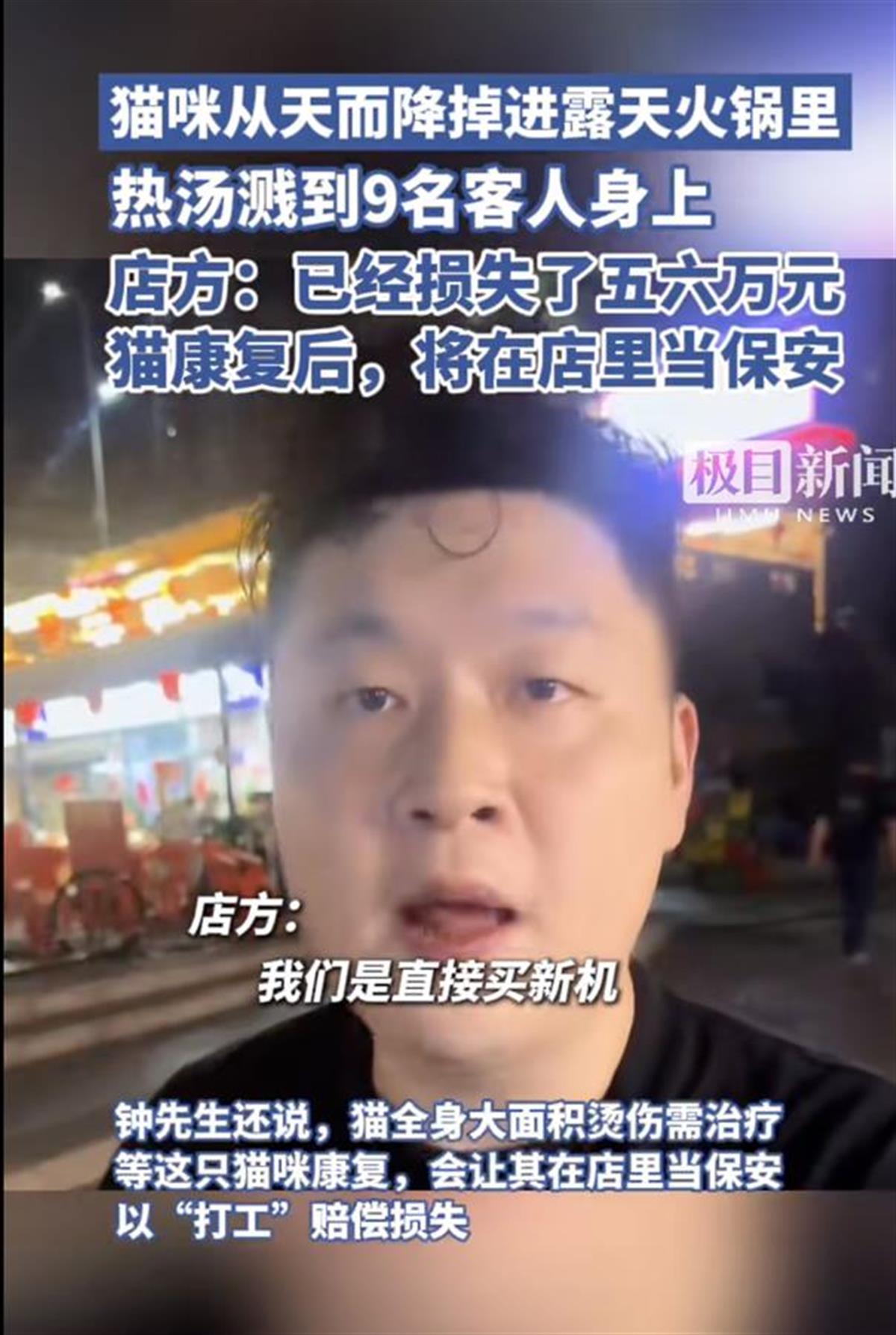 极目锐评丨一只猫“突如其来”掉进火锅，多名客人被烫坏，为什么这位老板不被骂反被夸？